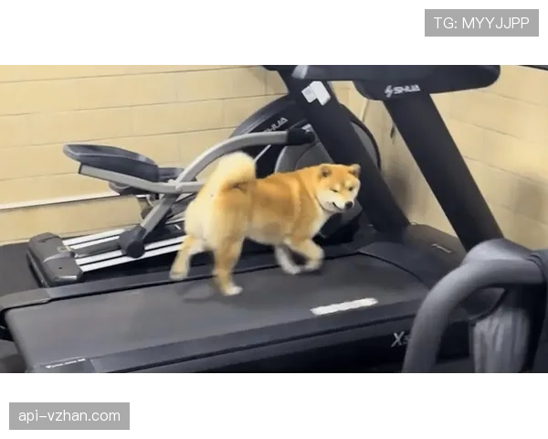 常园家的狗都比你自律