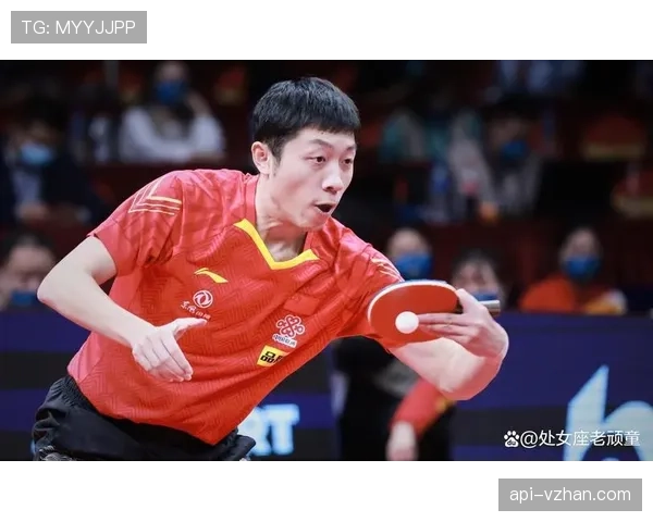 许昕家的狗都比我会接球